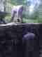 Stone Masonry #3